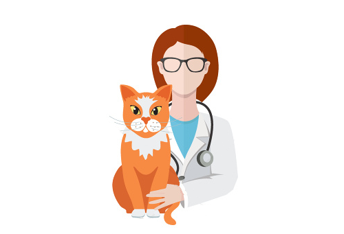 Atendimento Veterinário