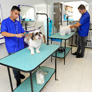 Espaço para Tosas