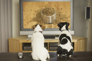 Medo Fogos de Artifício - Assistir TV