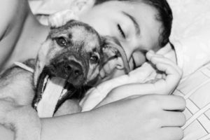 Cachorro: Eles fazem bem a sua saúde