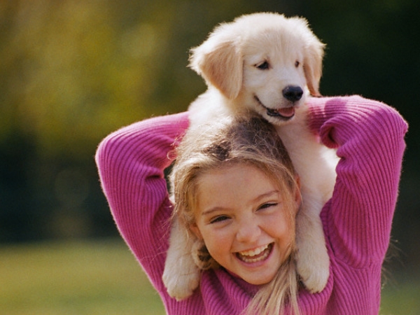 Brincar com Cachorro: Tudo o que você precisa saber para diverti-lo