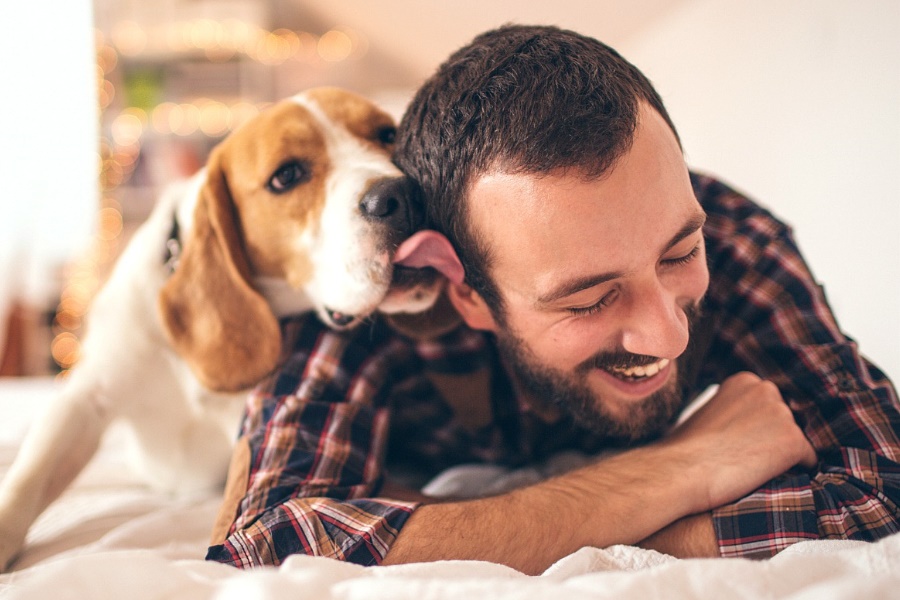 Por que os cachorros lambem o dono, as patas e as pessoas