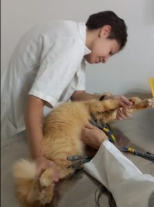 exame de eletrocardiograma
